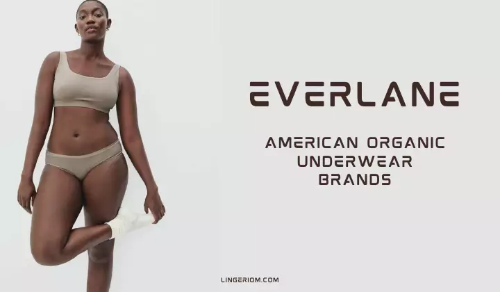 Organic Amerikan Undewear Brands - Everlane