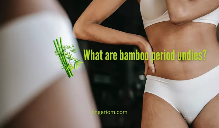 What are bamboo period undies?