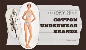 Organic Cotton Underwear Brands